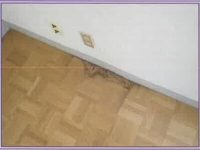 静岡県焼津市 西焼津駅 戸建て 2,162万円の競売物件 #18