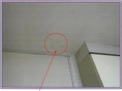 静岡県焼津市 西焼津駅 戸建て 2,162万円の競売物件 #7