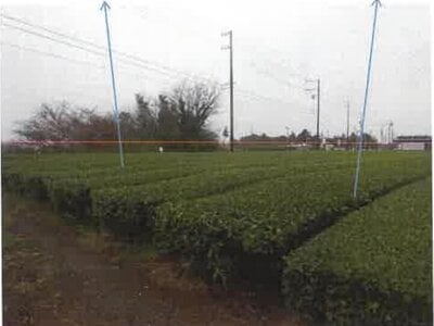 (値下げ) 静岡県牧之原市 農地 58万円の競売物件 #3