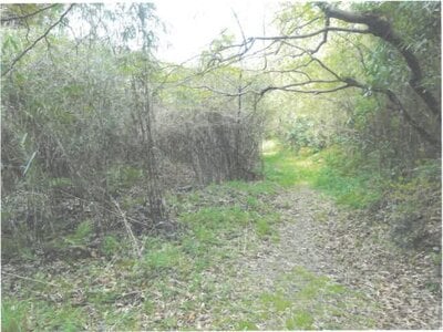 茨城県北茨城市 磯原駅 土地 2,245万円の競売物件 #6