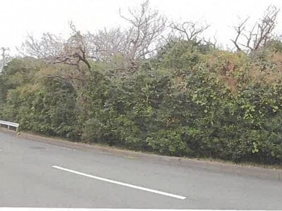 (値下げ) 東京都大島町 土地 172万円の競売物件 #3