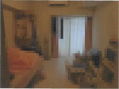 東京都江東区 潮見駅4分 マンション「THE PREMIUM CUBE G 潮見」1,944万円の競売物件 #2