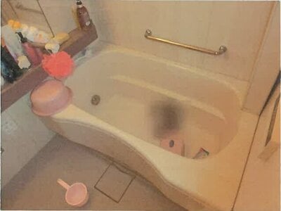 東京都足立区 北綾瀬駅5分 マンション「日神パレステージ北綾瀬」2,277万円の競売物件 #2