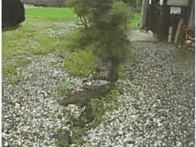 滋賀県長浜市 河毛駅 土地 173万円の競売物件 #3