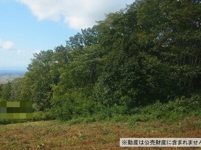 北海道夕張郡長沼町 由仁駅 土地 600万円の国税庁公売物件 #3