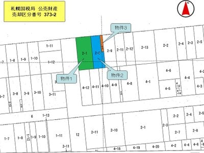 北海道帯広市 帯広駅25分 土地 749万円の国税庁公売物件 #3