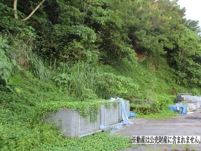 沖縄県名護市 土地 1,060万円の国税庁公売物件 #2