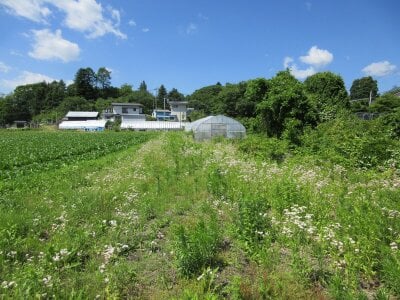 (値下げ) 群馬県吾妻郡長野原町 袋倉駅 農地 32万円の官公庁公売物件 #6