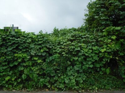 (値下げ) 群馬県桐生市 新川駅3分 土地 193万円の官公庁公売物件 #2