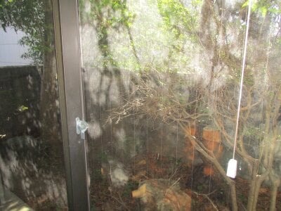 福井県福井市 仁愛女子高校駅6分 戸建て 684万円の官公庁公売物件 #8