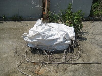 愛知県蒲郡市 西浦駅8分 土地 472万円の官公庁公売物件 #5