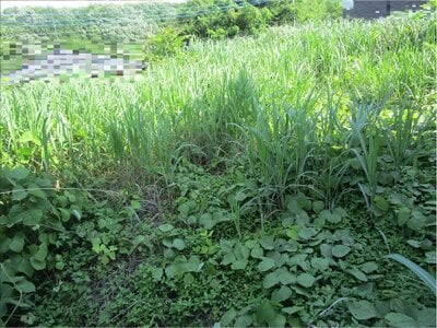 群馬県高崎市 根小屋駅5分 土地 235万円の官公庁公売物件 #3