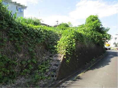 群馬県高崎市 根小屋駅5分 土地 235万円の官公庁公売物件 #4