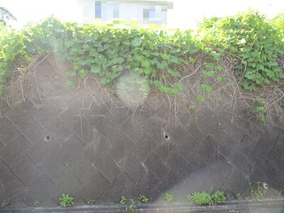 群馬県高崎市 根小屋駅5分 土地 235万円の官公庁公売物件 #5