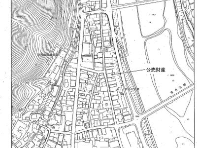 岡山県真庭市 美作落合駅13分 土地 114万円の官公庁公売物件 #3