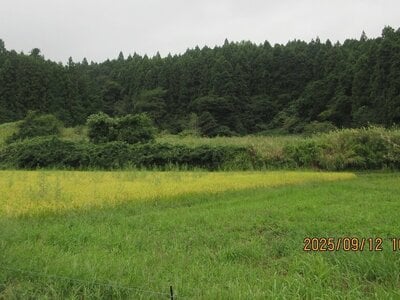 (値下げ) 宮城県仙台市泉区 陸前落合駅 土地 147万円の官公庁公売物件 #3