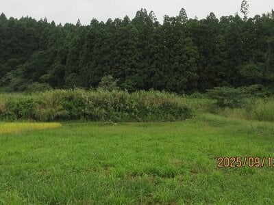 (値下げ) 宮城県仙台市泉区 陸前落合駅 土地 147万円の官公庁公売物件 #4