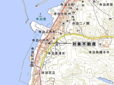 (値下げ) 新潟県長岡市 桐原駅 土地 308万円の官公庁公売物件 #8