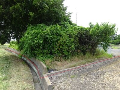 (値下げ) 愛媛県松山市 梅本駅18分 戸建て 410万円の官公庁公売物件 #4