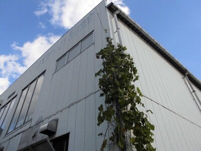 愛媛県西条市 壬生川駅9分 戸建て 740万円の官公庁公売物件 #3