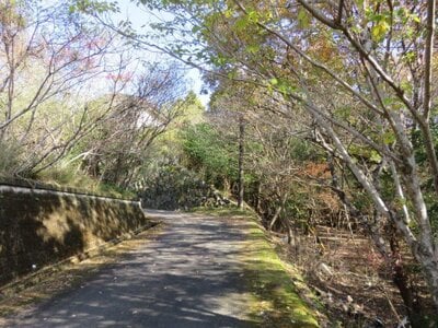 三重県伊勢市 田丸駅 土地 99万円の官公庁公売物件 #5