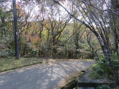 三重県伊勢市 田丸駅 土地 99万円の官公庁公売物件 #7