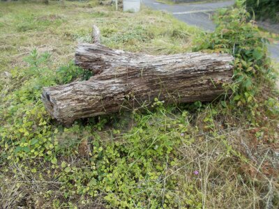 (値下げ) 広島県山県郡北広島町 土地 263万円の官公庁公売物件 #12