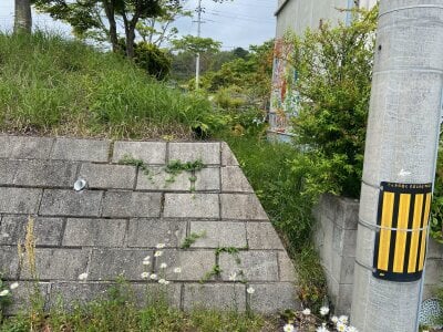 (値下げ) 広島県山県郡北広島町 土地 263万円の官公庁公売物件 #7