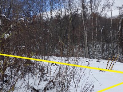 北海道虻田郡倶知安町 比羅夫駅25分 土地 2,191万円の官公庁公売物件 #4