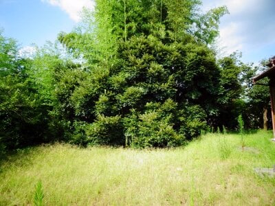 千葉県茂原市 新茂原駅9分 戸建て 2,200万円の官公庁公売物件 #7