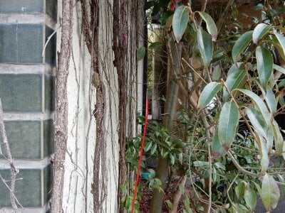 (値下げ) 岡山県津山市 津山駅14分 土地 425万円の官公庁公売物件 #4