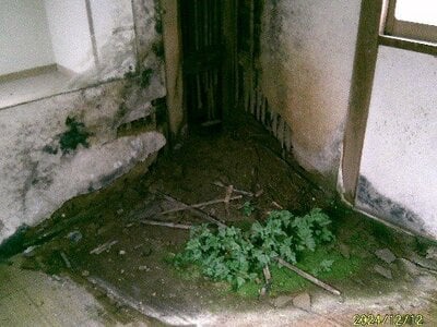 (値下げ) 岩手県大船渡市 大船渡駅11分 戸建て 597万円の官公庁公売物件 #11