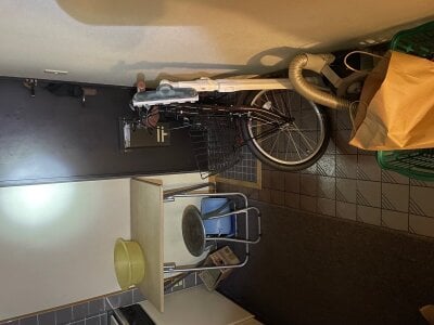 神奈川県足柄下郡箱根町 彫刻の森駅6分 マンション「箱根山ヴィラ」43万円の官公庁公売物件 #10