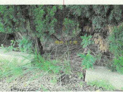 秋田県能代市 能代駅 戸建て 472万円の競売物件 #5