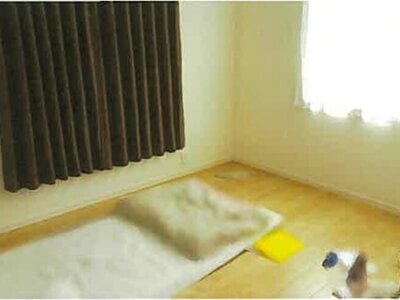 島根県松江市 松江しんじ湖温泉駅 戸建て 2,620万円の競売物件 #19