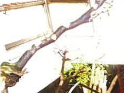 (値下げ) 島根県松江市 松江駅3分 戸建て 1,165万円の競売物件 #18