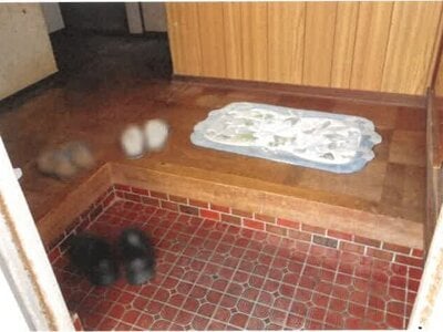 島根県隠岐郡隠岐の島町 戸建て 240万円の競売物件 #9