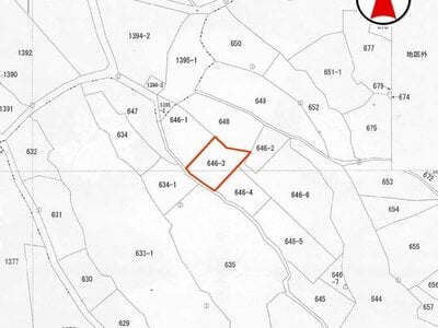 沖縄県うるま市 土地 123万円の国税庁公売物件 #3