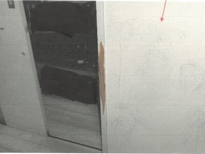 愛知県海部郡大治町 甚目寺駅19分 戸建て 1,431万円の競売物件 #8