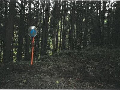 (値下げ) 岐阜県高山市 土地 103万円の競売物件 #4