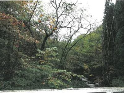 (値下げ) 岐阜県高山市 土地 103万円の競売物件 #6