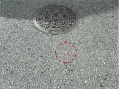 大阪府寝屋川市 寝屋川市駅20分 土地 912万円の競売物件 #10