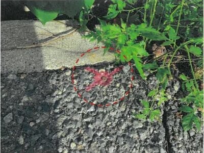 大阪府寝屋川市 寝屋川市駅20分 土地 912万円の競売物件 #7