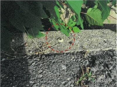 大阪府寝屋川市 寝屋川市駅20分 土地 912万円の競売物件 #8