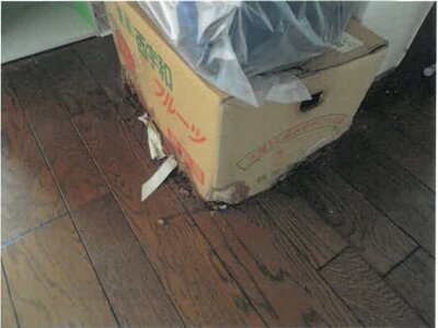 大阪府枚方市 藤阪駅10分 マンション「藤阪ハイツ」499万円の競売物件 #11