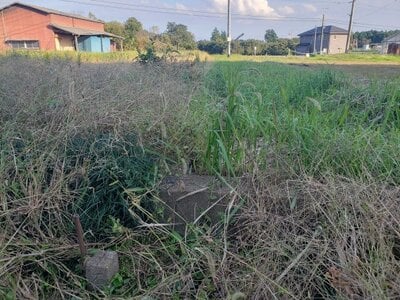 茨城県石岡市 高浜駅 土地 266万円の官公庁公売物件 #2