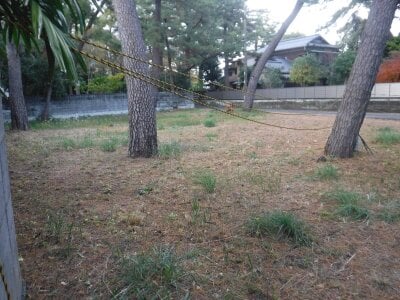 静岡県沼津市 沼津駅23分 土地 1,298万円の官公庁公売物件 #2