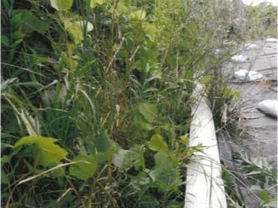 神奈川県横須賀市 衣笠駅8分 土地 1,741万円の競売物件 #5