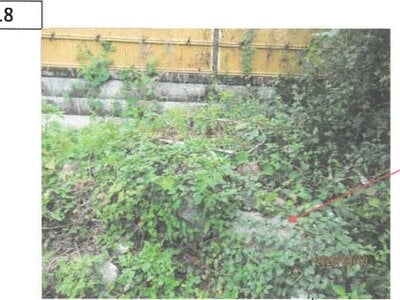 徳島県板野郡上板町 板野駅 戸建て 276万円の競売物件 #14