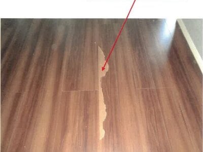 徳島県板野郡北島町 勝瑞駅29分 戸建て 1,489万円の競売物件 #9